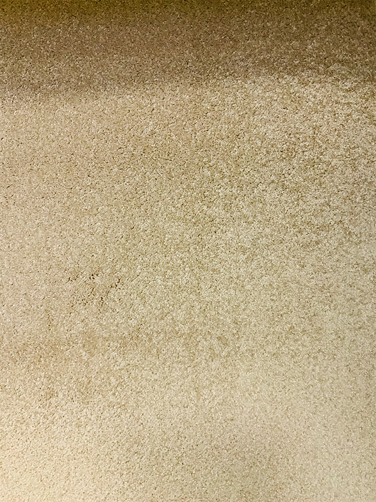 Luxury Beige