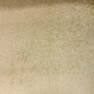 Luxury Beige