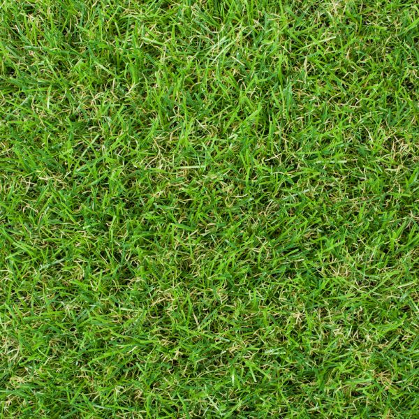 Artificial Grass 20mm (Copy)