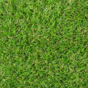 Artificial Grass 20mm